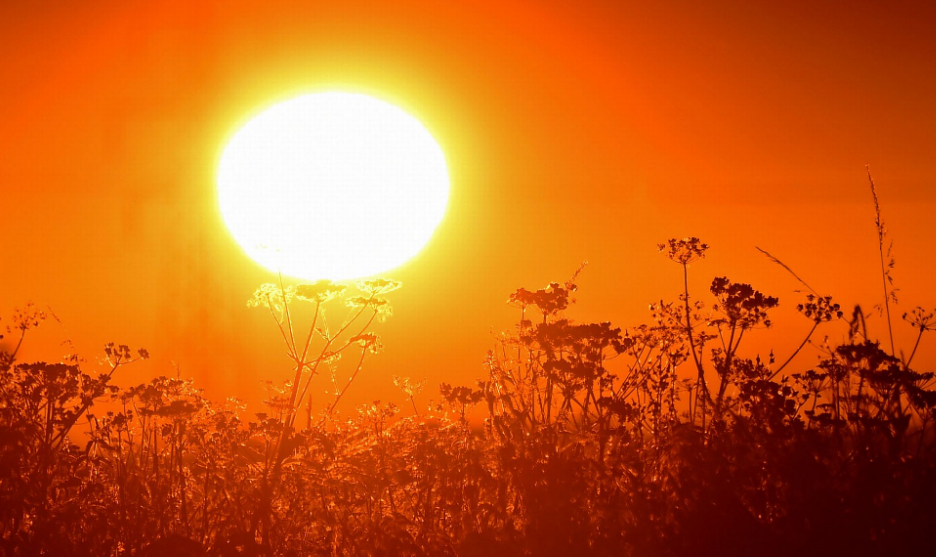 4 Fakta Heat Wave Menurut Penjelasan Ilmiah